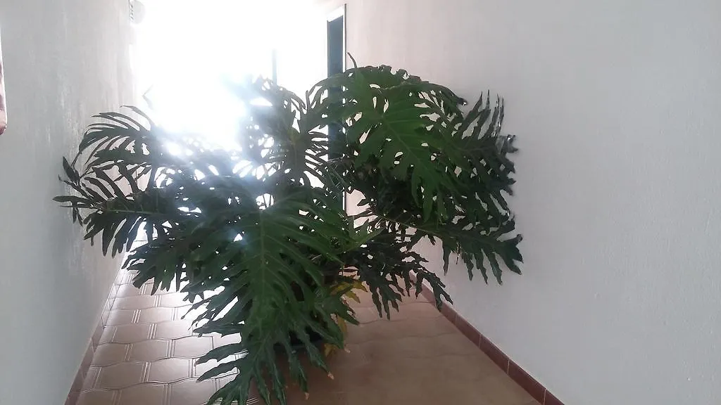 Monterrey Apartamentos Porto Rico