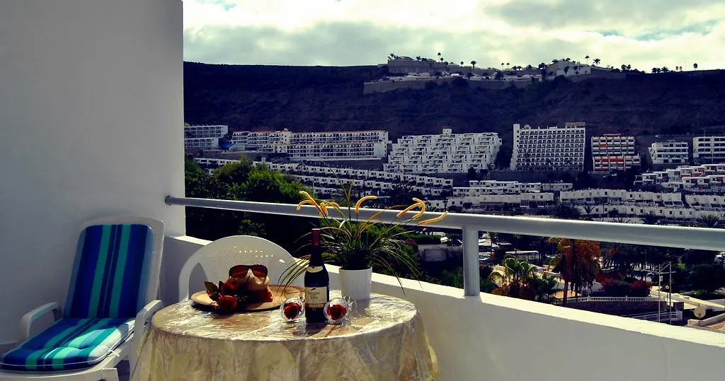 Monterrey Apartamentos Porto Rico 0*,  Espanha